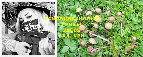 таблы Армянск