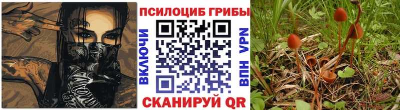 Галлюциногенные грибы Psilocybine cubensis  где купить наркоту  Старая Русса 
