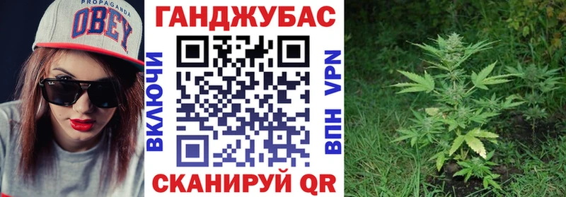 Бошки Шишки семена  Старая Русса 